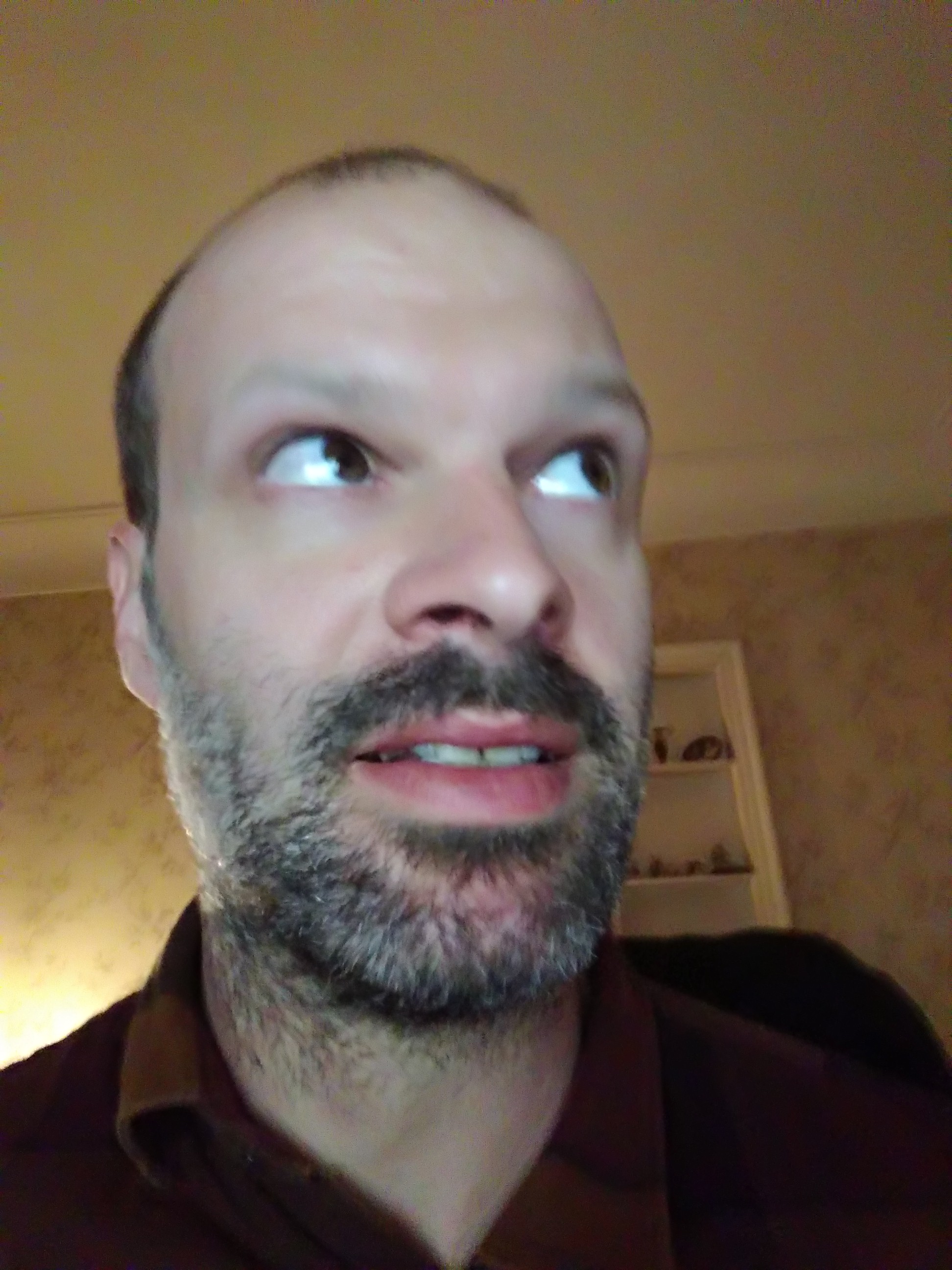 andrew